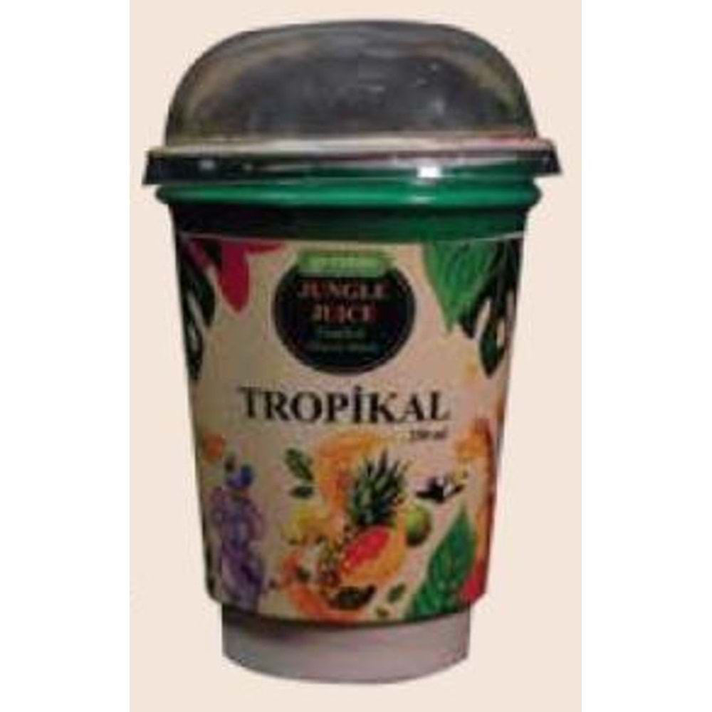 Jungle Juice Tropikal 250 ML 12 Ad.