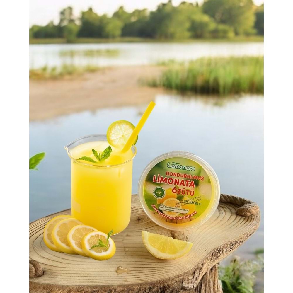 Premium Limonata Özütü 200Ml * 48