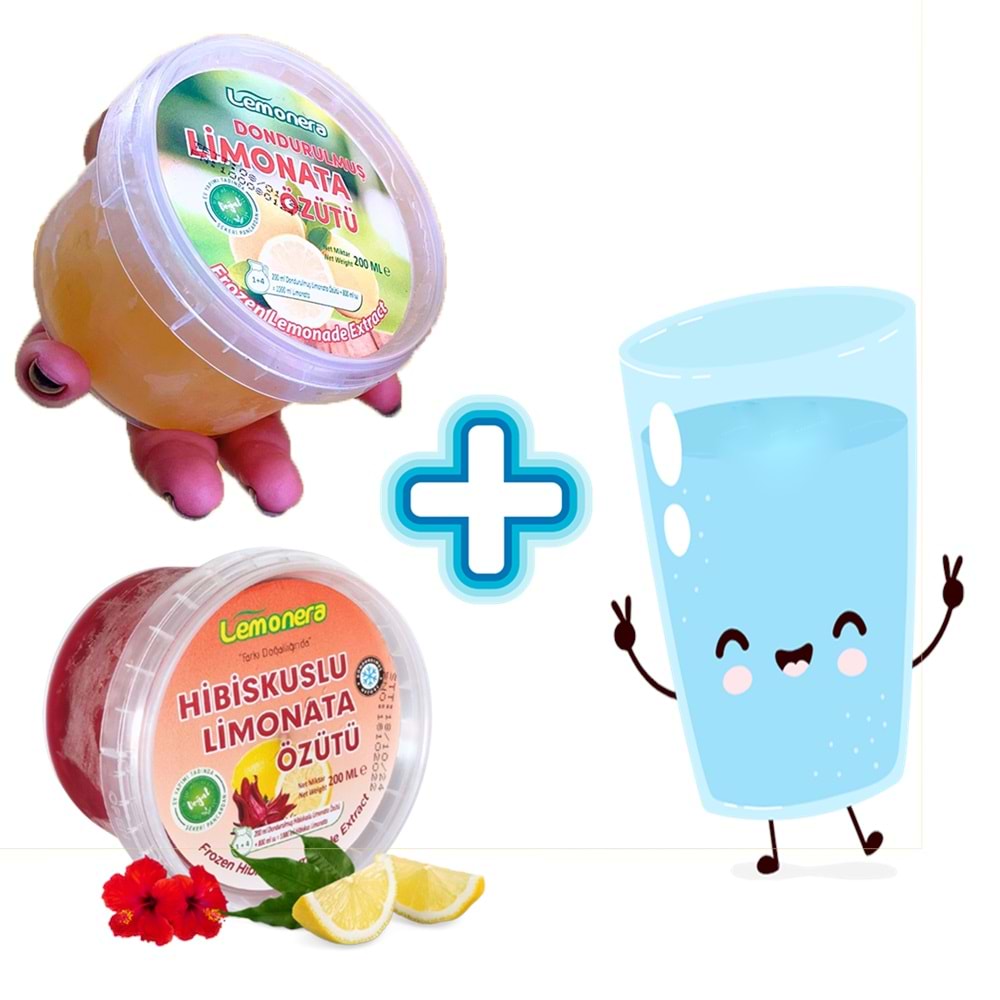 Hibiscuslu Limonata Özütü 200Ml*48