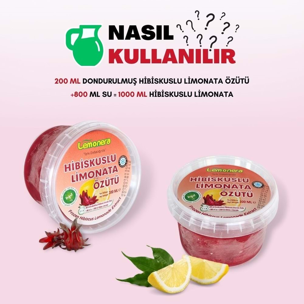 Hibiscuslu Limonata Özütü 200Ml*48