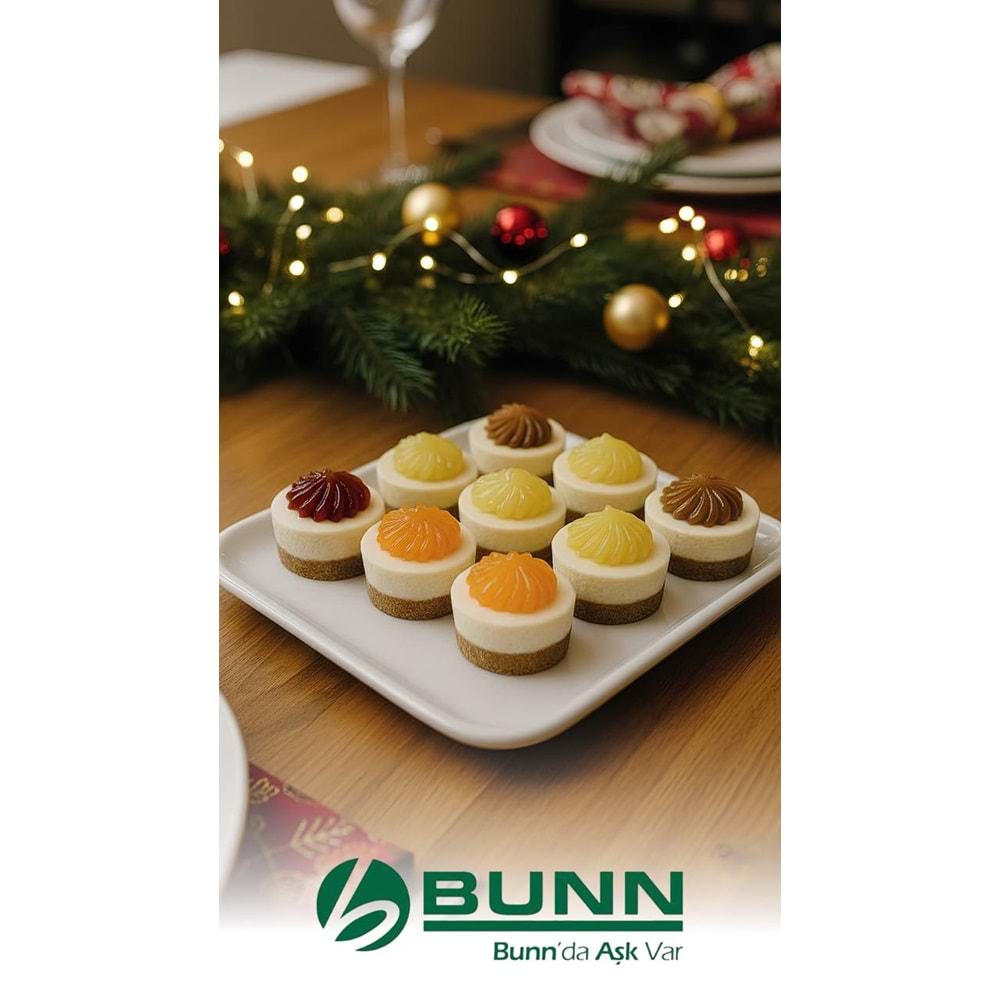 Bf New York Cheesecake 45Gr 30Dlm*9