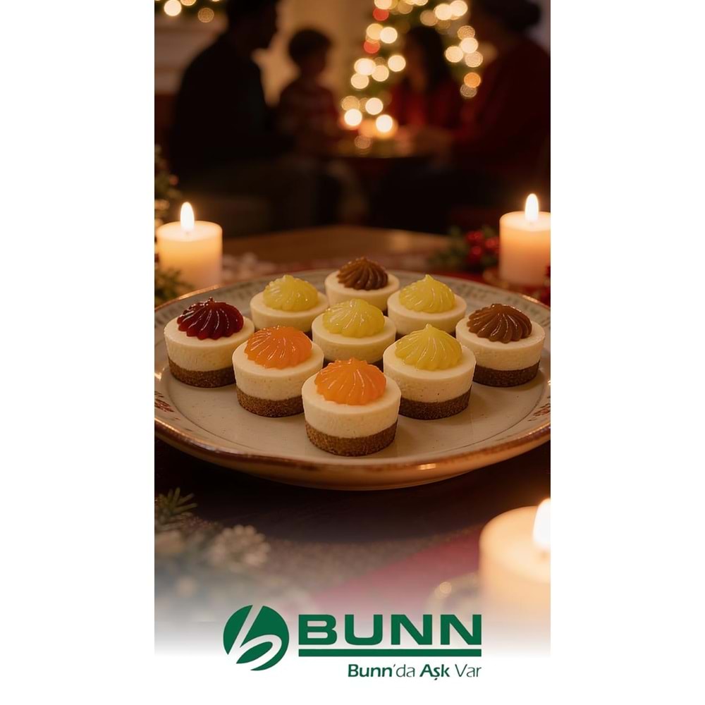 Bf New York Cheesecake 45Gr 30Dlm*9