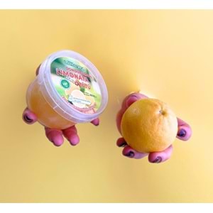 Premium Limonata Özütü 200Ml * 48