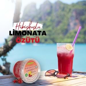 Hibiscuslu Limonata Özütü 200Ml*48