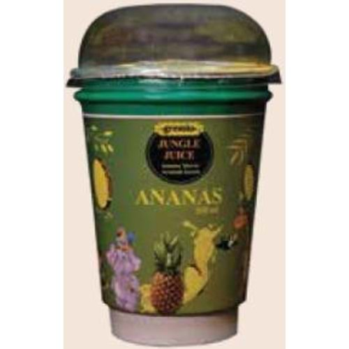 Jungle Juice Ananas 250 ML 12 Ad.