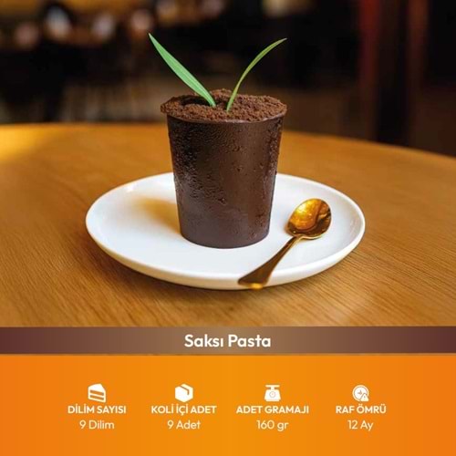 Bf Saksı Pasta Mono 160Gr 9Dlm*9