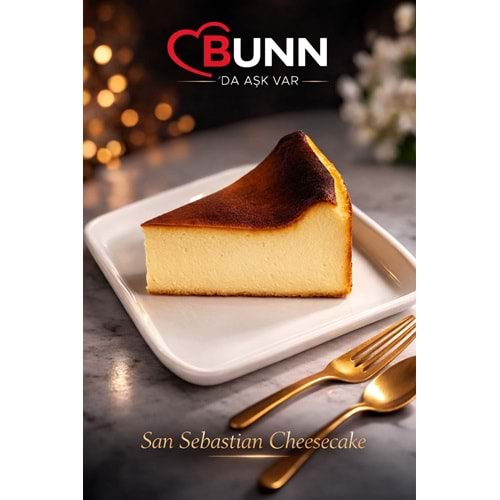 Bf San Sebastian Cheesecake 175Gr 12Dlm*9